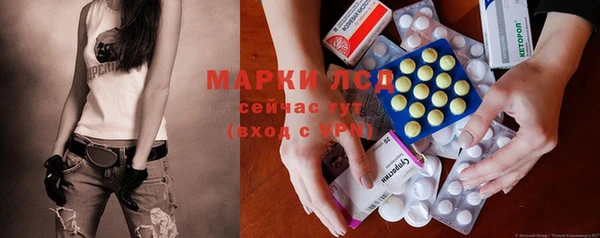 PSILOCYBIN Баксан