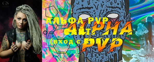 PSILOCYBIN Баксан