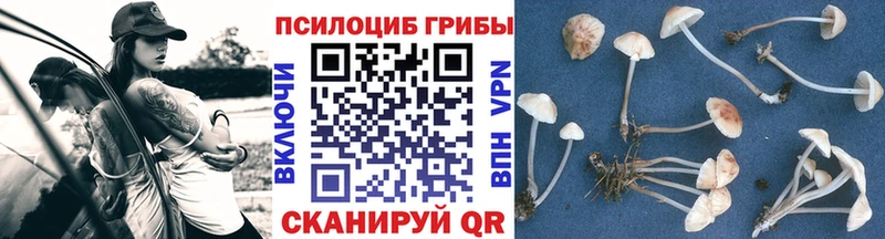 Галлюциногенные грибы MAGIC MUSHROOMS  Лыткарино 
