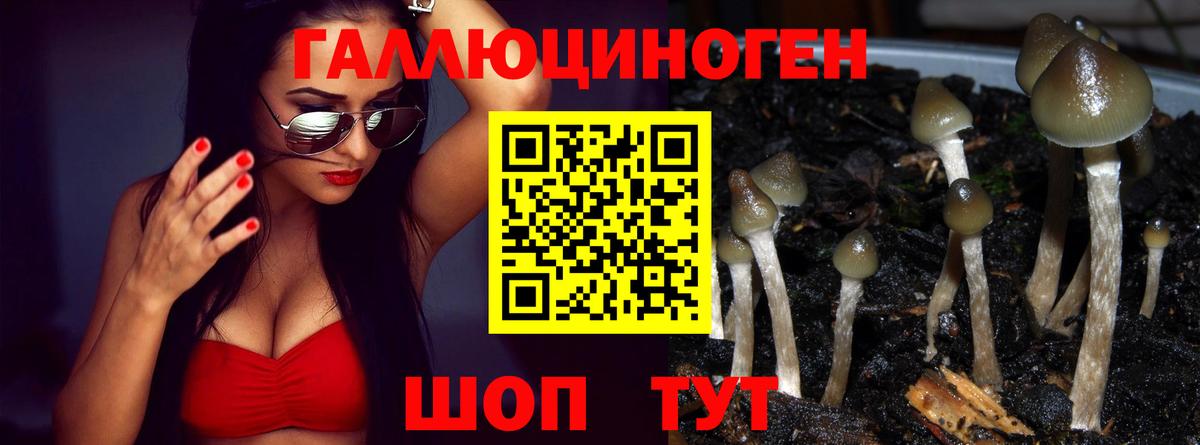 Галлюциногенные грибы GOLDEN TEACHER Лыткарино