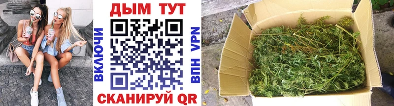 ссылка на мегу как войти  купить  цена  Лыткарино  Бошки марихуана план 